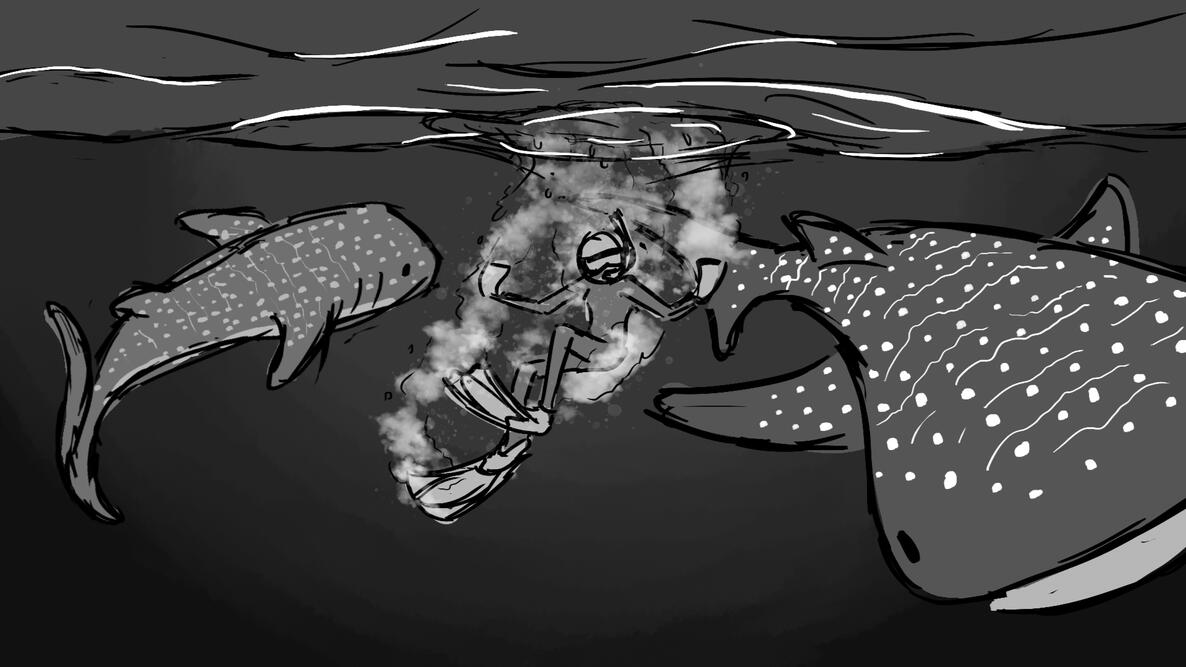 Whale Sharks
