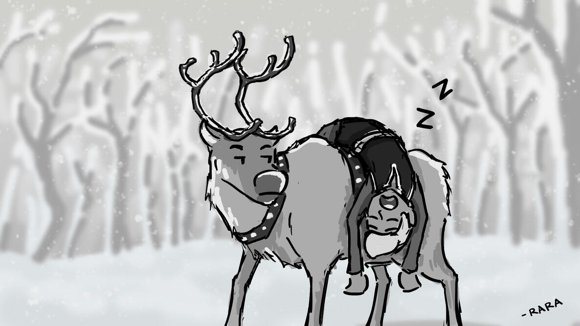 Reindeer