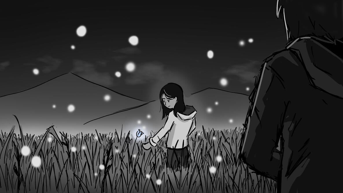 Fireflies